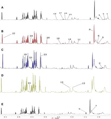 Lactobacillus acidophilus and HKL Suspension Alleviates Ulcerative Colitis in Rats by Regulating Gut Microbiota, Suppressing TLR9, and Promoting Metabolism